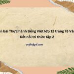 Soạn Bài Thực Hành Tiếng Việt Lớp 12 Trang 78 Văn 12 Kết Nối Tri Thức Tập 2