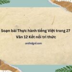 Soạn Bài Thực Hành Tiếng Việt Trang 27 Văn 12 Kết Nối Tri Thức Tập 2