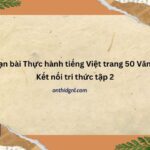 Soạn Bài Thực Hành Tiếng Việt Trang 50 Văn 12 Kết Nối Tri Thức Tập 2