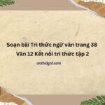 Tri Thức Ngữ Văn Trang 38 Văn 12 Kết Nối Tri Thức Tập 2