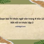 Soạn Bài Tri Thức Ngữ Văn Trang 4 Văn 12 Kết Nối Tri Thức Tập 2