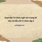 Soạn Bài Tri Thức Ngữ Văn Trang 63 Văn 12 Kết Nối Tri Thức Tập 2