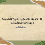 Soạn Bài Tuyên Ngôn độc Lập Văn 12 Kết Nối Tri Thức Tập 2