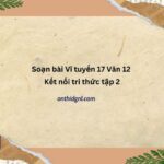 Soạn Bài Vĩ Tuyến 17 Văn 12 Kết Nối Tri Thức Tập 2