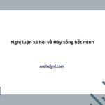 Nghị Luận Xã Hội Về Hãy Sống Hết Mình