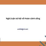 Nghị Luận Xã Hội Về Hoàn Cảnh Sống