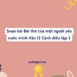 Soạn Bài Bài Thơ Của Một Người Yêu Nước Mình Văn 12 Cánh Diều Tập 2