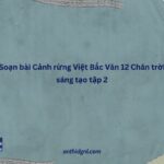 Soạn Bài Cảnh Rừng Việt Bắc Văn 12 Chân Trời Sáng Tạo Tập 2