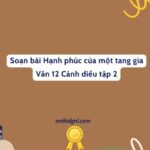 Soạn Bài Hạnh Phúc Của Một Tang Gia Văn 12 Cánh Diều Tập 2