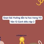 Soạn Bài Hướng Dẫn Tự Học Trang 113 Văn 12 Cánh Diều Tập 2