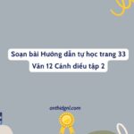 Soạn Bài Hướng Dẫn Tự Học Trang 33 Văn 12 Cánh Diều Tập 2