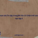 Soạn Bài Ôn Tập Trang 84 Văn 12 Chân Trời Sáng Tạo Tập 2