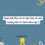 Soạn Bài Phụ Nữ Và Việc Bảo Vệ Môi Trường Văn 12 Cánh Diều Tập 2