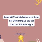 Soạn Bài Thực Hành đọc Hiểu Đêm Trăng Và Cây Sồi Văn 12 Cánh Diều Tập 2