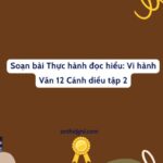 Soạn Bài Thực Hành đọc Hiểu: Vi Hành Văn 12 Cánh Diều Tập 2