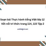 Soạn Bài Thực Hành Tiếng Việt Lớp 12 Kết Nối Tri Thức Trang 114, 115 Tập 2