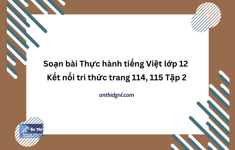 Soạn Bài Thực Hành Tiếng Việt Lớp 12 Kết Nối Tri Thức Trang 114, 115 Tập 2