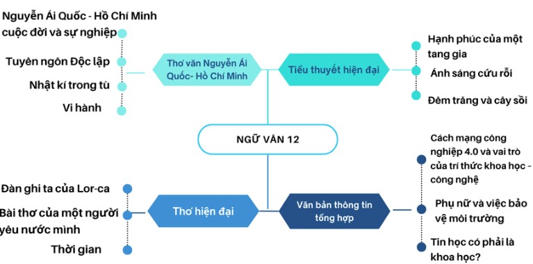 Soạn Bài Thực Hành Tiếng Việt Trang 101 Văn 12 Cánh Diều Tập 2