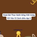 Soạn Bài Thực Hành Tiếng Việt Trang 101 Văn 12 Cánh Diều Tập 2