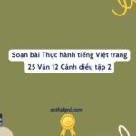 Soạn Bài Thực Hành Tiếng Việt Trang 25 Văn 12 Cánh Diều Tập 2