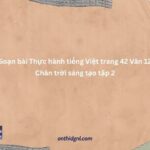 Soạn Bài Thực Hành Tiếng Việt Trang 42 Văn 12 Chân Trời Sáng Tạo Tập 2