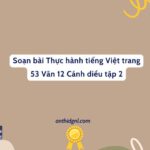 Soạn Bài Thực Hành Tiếng Việt Trang 53 Văn 12 Cánh Diều Tập 2