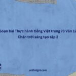 Soạn Bài Thực Hành Tiếng Việt Trang 73 Văn 12 Chân Trời Sáng Tạo Tập 2