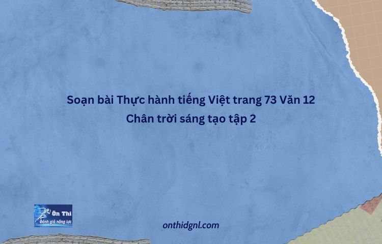 Soạn Bài Thực Hành Tiếng Việt Trang 73 Văn 12 Chân Trời Sáng Tạo Tập 2