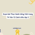 Soạn Bài Thực Hành Tiếng Việt Trang 74 Văn 12 Cánh Diều Tập 2