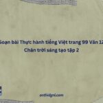 Soạn Bài Thực Hành Tiếng Việt Trang 99 Văn 12 Chân Trời Sáng Tạo Tập 2