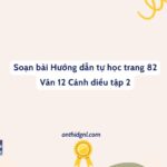 Soạn Bài Hướng Dẫn Tự Học Trang 82 Văn 12 Cánh Diều Tập 2