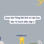 Soạn Bài Tổng Kết Lịch Sử Văn Học Văn 12 Cánh Diều Tập 2