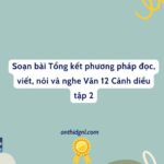 Soạn Bài Tổng Kết Phương Pháp đọc, Viết, Nói Và Nghe Văn 12 Cánh Diều Tập 2