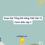 Soạn Bài Tổng Kết Tiếng Việt Văn 12 Cánh Diều Tập 2