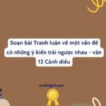 Tranh Luận Về Một Vấn đề Có Những ý Kiến Trái Ngược Nhau Văn 12 Cánh Diều