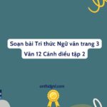 Soạn Bài Tri Thức Ngữ Văn Trang 3 Văn 12 Cánh Diều Tập 2