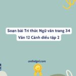 Soạn Bài Tri Thức Ngữ Văn Trang 34 Văn 12 Cánh Diều Tập 2