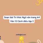 Soạn Bài Tri Thức Ngữ Văn Trang 64 Văn 12 Cánh Diều Tập 2