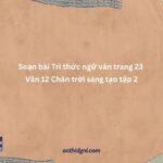 Soạn Bài Tri Thức Ngữ Văn Trang 23 Văn 12 Chân Trời Sáng Tạo Tập 2