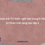 Soạn Bài Tri Thức Ngữ Văn Trang 5 Văn 12 Chân Trời Sáng Tạo Tập 2