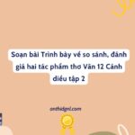 Trình Bày Về So Sánh, đánh Giá Hai Tác Phẩm Thơ Văn 12 Cánh Diều Tập 2