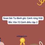 Soạn Bài Tự đánh Giá: Cảnh Rừng Việt Bắc Văn 12 Cánh Diều Tập 2