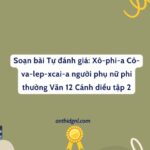 Soạn Bài Tự đánh Giá: Xô Phi A Cô Va Lep Xcai A Người Phụ Nữ Phi Thường Văn 12 Cánh Diều Tập 2