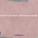 Soạn Bài Tự Do Văn 12 Chân Trời Sáng Tạo Tập 2