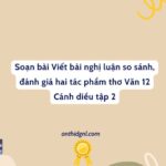 Soạn Bài Viết Bài Nghị Luận So Sánh, đánh Giá Hai Tác Phẩm Thơ Văn 12 Cánh Diều Tập 2