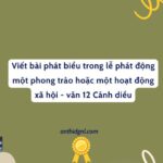 Viết Bài Phát Biểu Trong Lễ Phát động Một Phong Trào Hoặc Một Hoạt động Xã Hội Văn 12 Cánh Diều