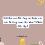 Viết Thư Trao đổi Công Việc Hoặc Một Vấn đề đáng Quan Tâm Văn 12 Cánh Diều Tập 2