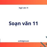 Soạn Văn 11 Theo Hệ Thống Văn Bản đọc Hiểu Sách Ngữ Văn 11