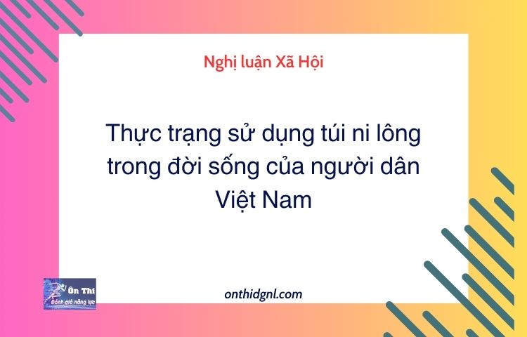 Nghị luận Xã Hội về Thực trạng sử dụng túi ni lông trong đời sống của người dân VIệt Nam