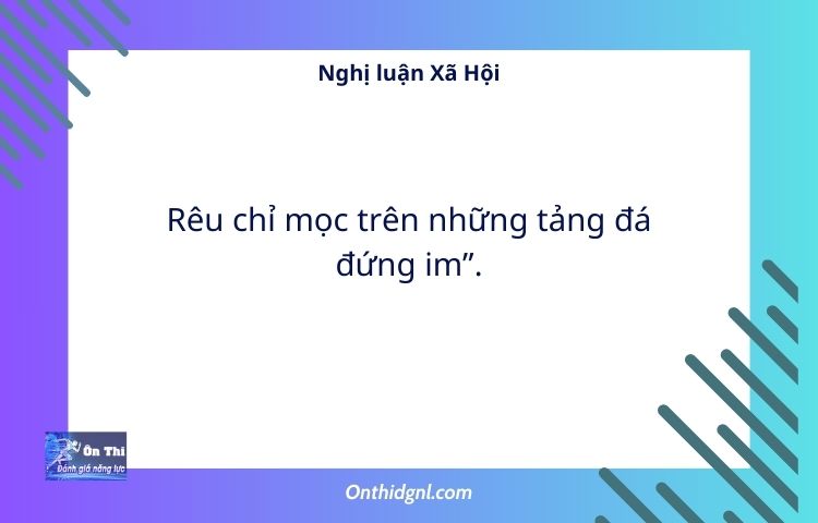 Nghị luận Xã Hội về Rêu chỉ mọc trên những tảng đá đứng im